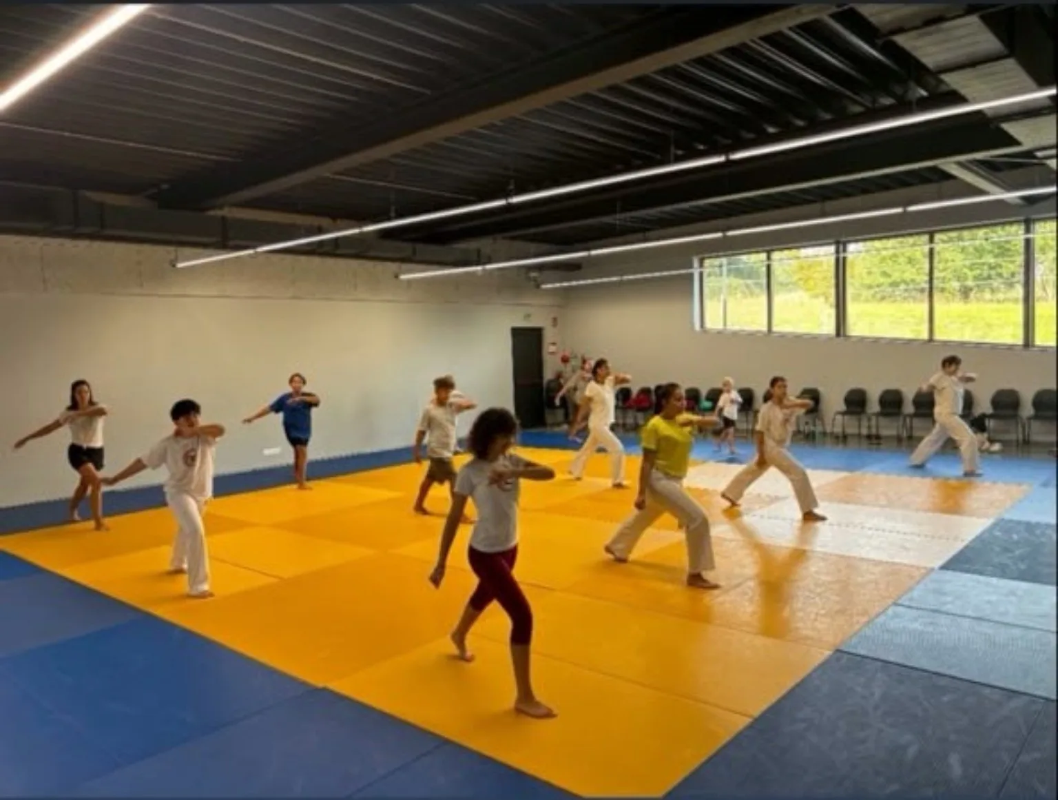 Deelnemers oefenen samen capoeirabewegingen op een gekleurde sportmat in een sportzaal.